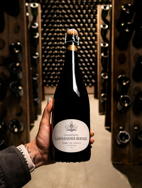 Champagne Larmandier-Bernier Blanc de Blancs Terre de Vertus Brut Nature Premier Cru 2017 Wine - Last Bottle
