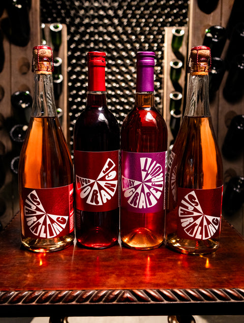 Elevate Your Aperitif 4-Pack Wine - Last Bottle
