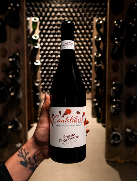 Tenuta Pederzana Lambrusco Grasparossa Castelvetro Cantolibero Secco 2020 Wine - Last Bottle